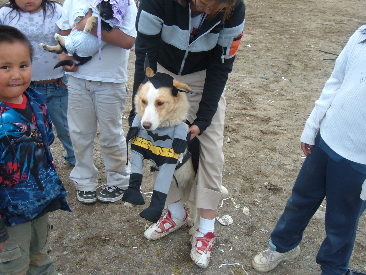 Dog getting dolled up
