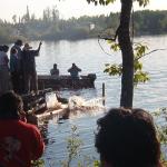 Owww....  Down she goes.