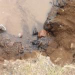 A pic from right from the top view of the water.