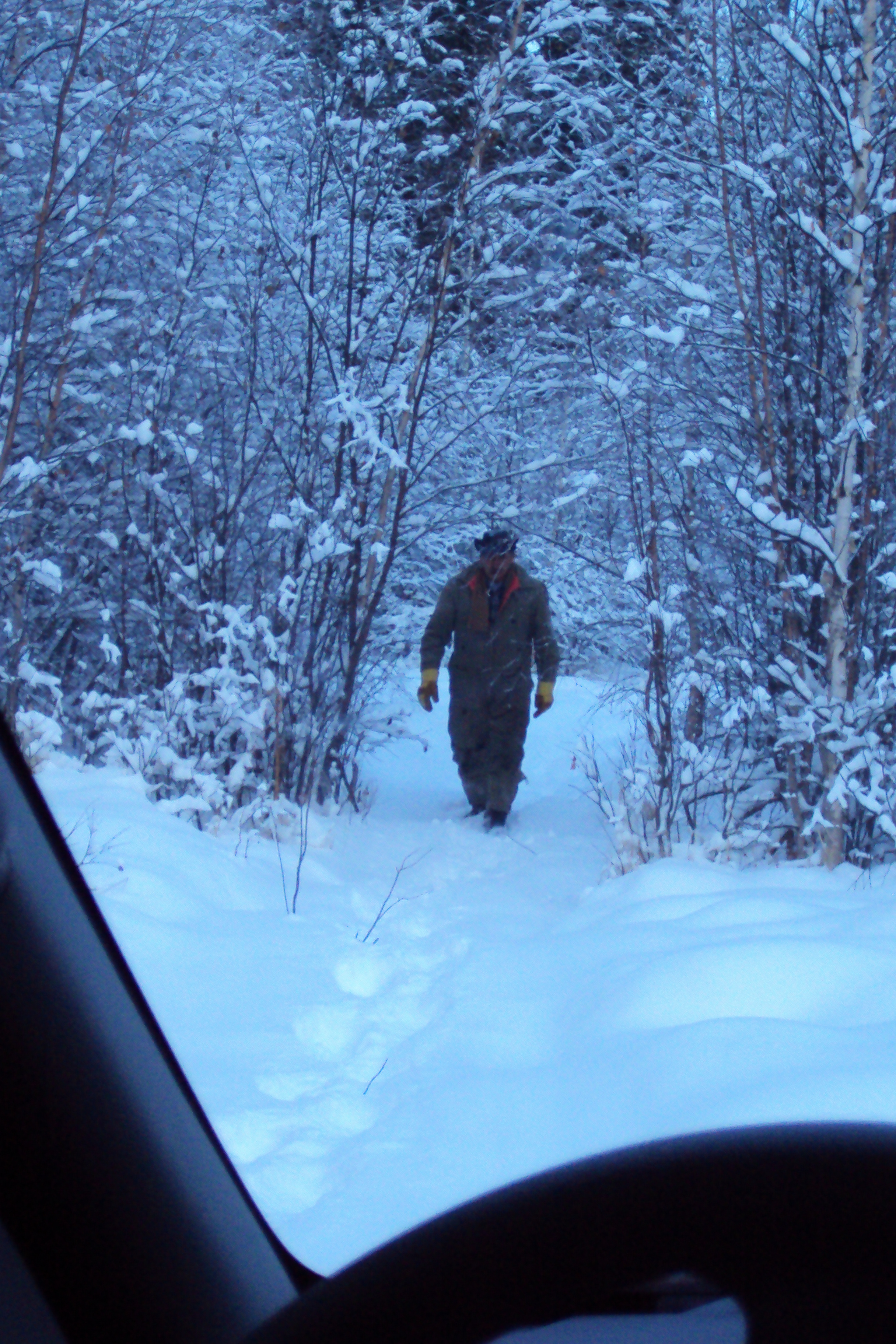 Peaceful walk on an old skidoo trail, checking for tracks.